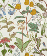 BOTANICAL SKETCH MULTI CUSTOM DRAPERY