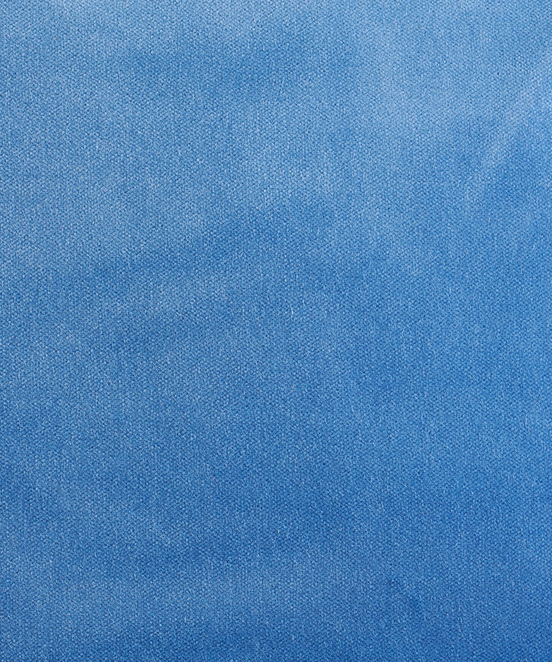 VELVET CORNFLOWER