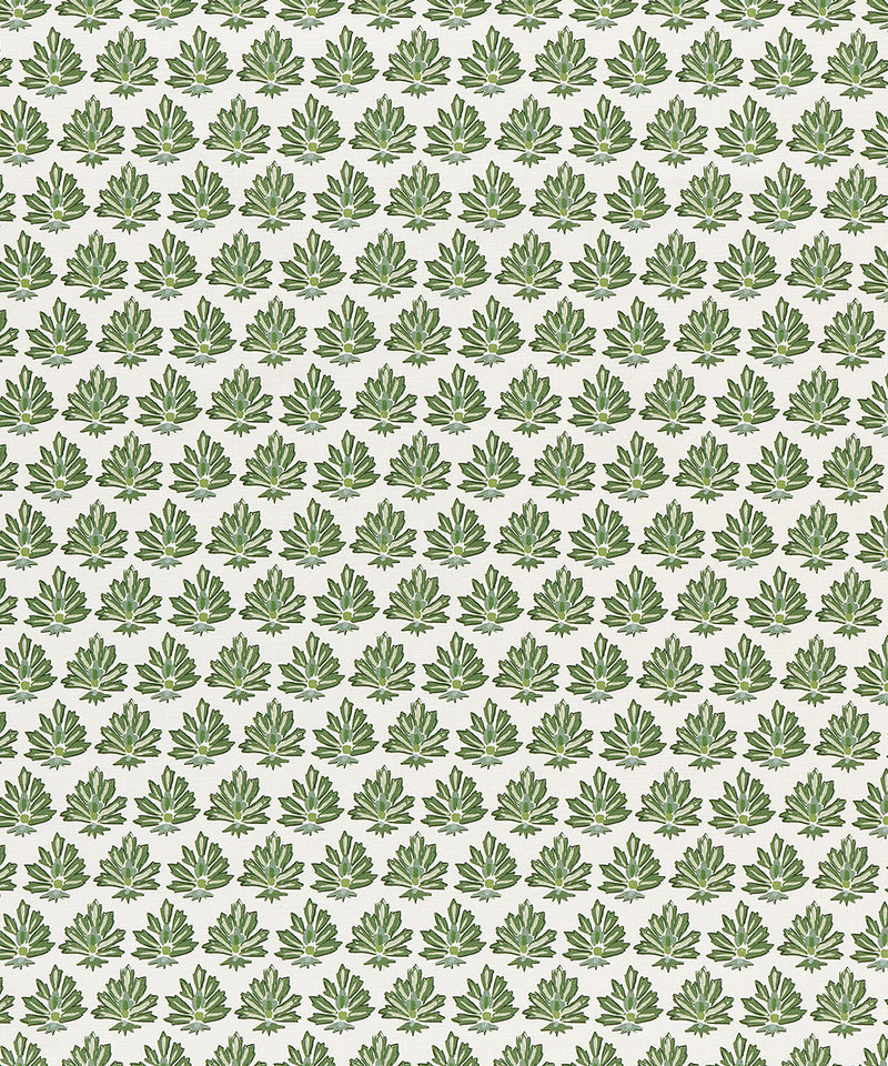 FANFARE MOSS